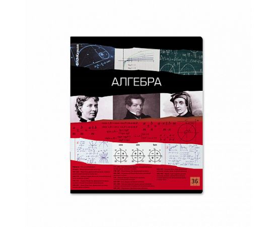 Тетрадь предметная 36 л А5 клетка скоба "Timeline" - Алгебра