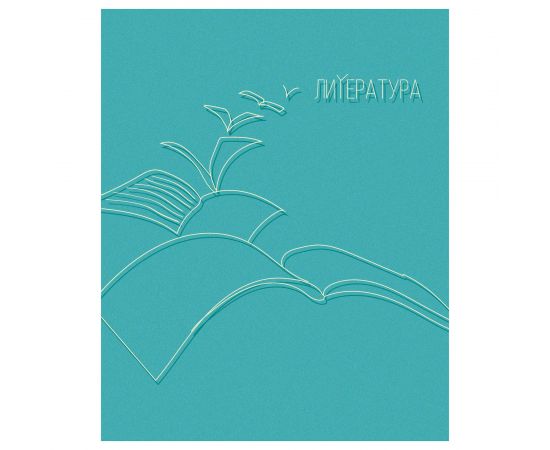 Тетрадь предметная 40 л А5 линия скоба "Извилистая линия" - Литература