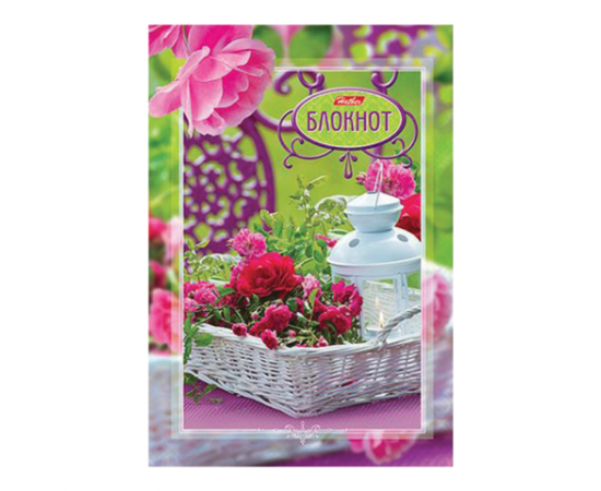 Тетрадь 80 л клетка А5 Бизнес-Блокнот (HATBER) твё