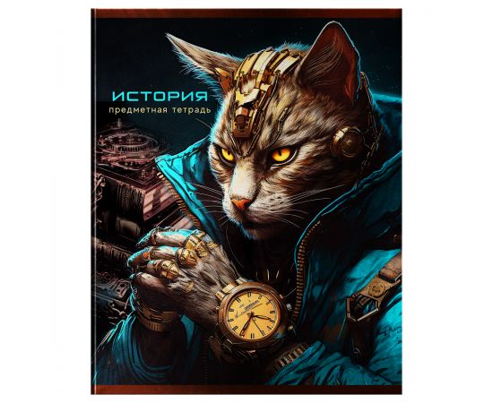 Тетрадь предметная 48л. BG "Мир будущего" - История, металлизированный картон ТП5ск48 56334